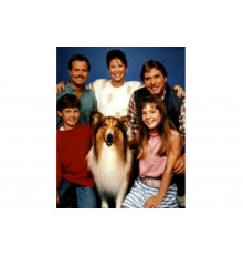 Новые приключения Лесси   сериал