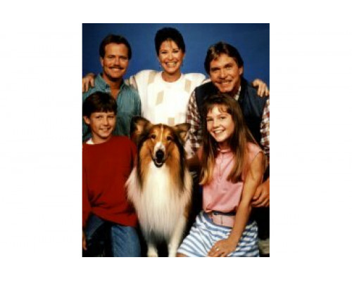 Новые приключения Лесси   сериал смотреть