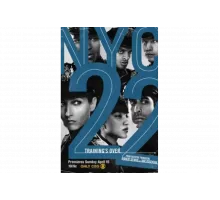 Нью-Йорк 22   сериал
