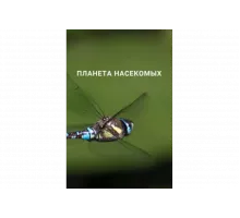 Планета насекомых   сериал