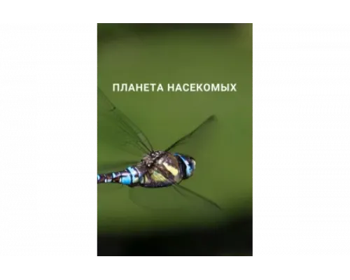 Планета насекомых   сериал смотреть