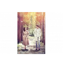 По пути в аэропорт   сериал