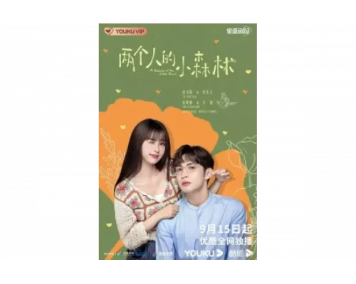 Роман в маленьком лесу   сериал смотреть