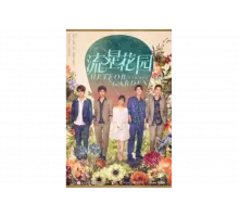 Сад падающих звёзд   сериал