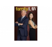 Семейная юрфирма   сериал