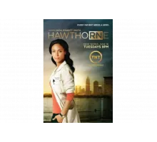 Сестра Готорн   сериал