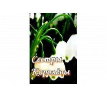 Сестры Королевы   сериал