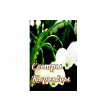 Сестры Королевы   сериал