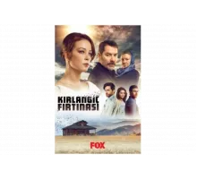 Шторм ласточки   сериал