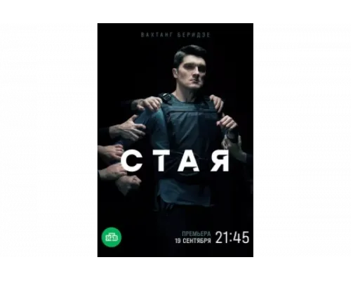 Стая   сериал смотреть