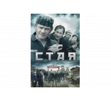 Стая    сериал