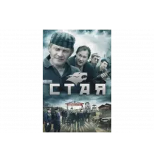 Стая    сериал