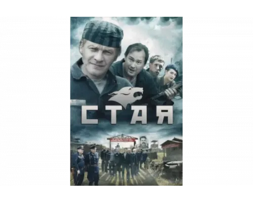 Стая    сериал смотреть