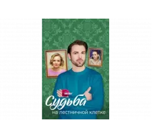 Судьба на лестничной клетке   сериал