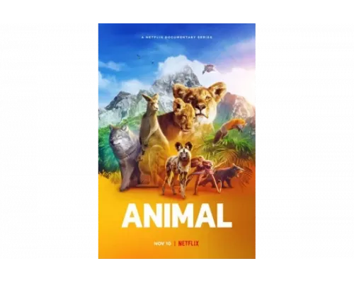 Удивительные животные   сериал смотреть