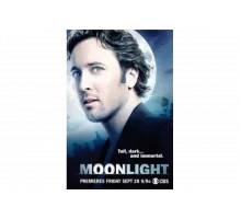 В лунном свете   сериал
