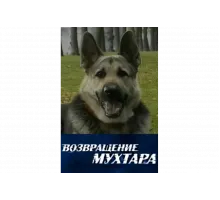 Возвращение Мухтара   сериал