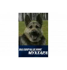 Возвращение Мухтара   сериал