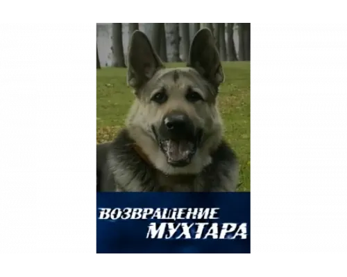 Возвращение Мухтара   сериал смотреть