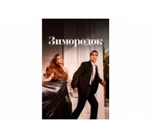 Зимородок   сериал