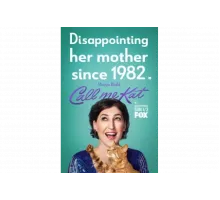 Зовите меня Кэт   сериал