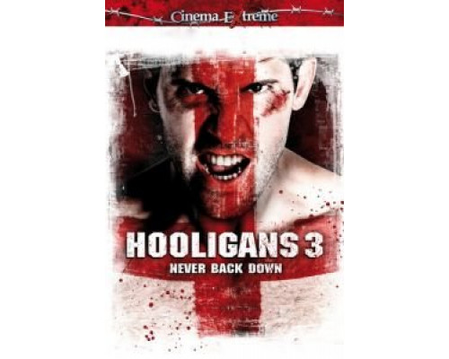 Хулиганы 3  (фильм 2013) смотреть онлайн