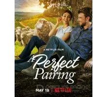Идеальное сочетание (2022)