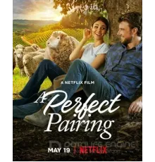 Идеальное сочетание (2022)