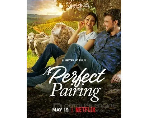 Идеальное сочетание  (фильм 2022) смотреть онлайн