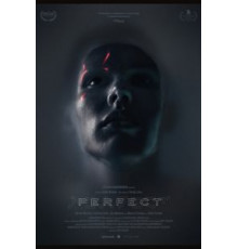 Идеальный (2018)