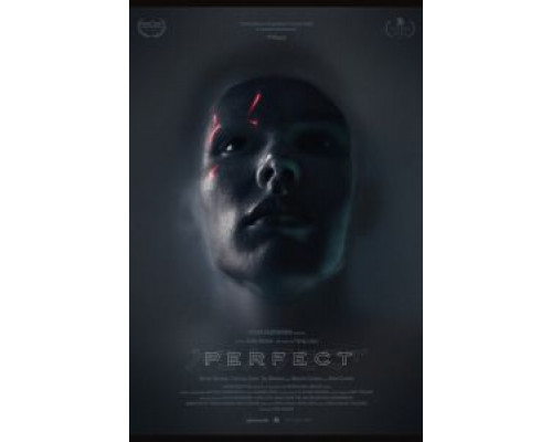 Идеальный  (фильм 2018) смотреть онлайн