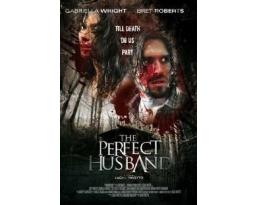 Идеальный муж  (фильм 2014) смотреть онлайн