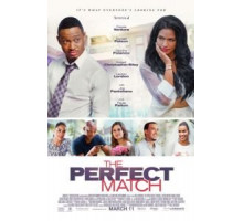 Идеальный выбор (2016)