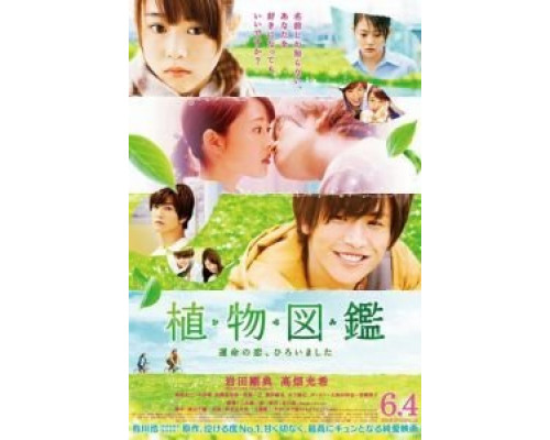 Иллюстрированная книга растений  (фильм 2016) смотреть онлайн