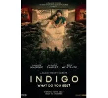 Индиго (2023)