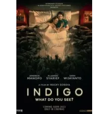 Индиго (2023)