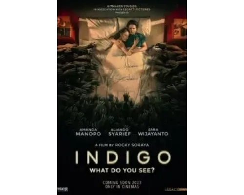 Индиго  (фильм 2023) смотреть онлайн