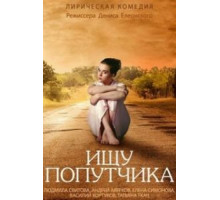 Ищу попутчика (2013)