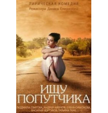 Ищу попутчика (2013)