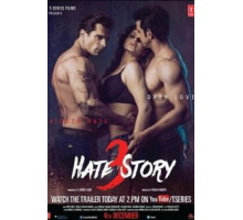 История ненависти 3 (2015)