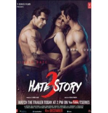 История ненависти 3 (2015)