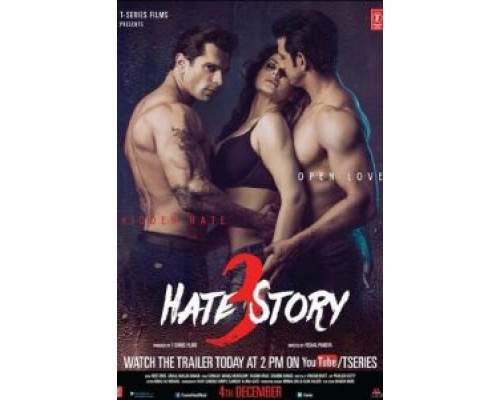 История ненависти 3  (фильм 2015) смотреть онлайн