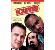 История одного похищения (2000)