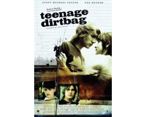 История странного подростка  (фильм 2009) смотреть онлайн