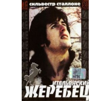 Итальянский жеребец (1970)