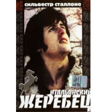 Итальянский жеребец (1970)