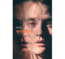 Из огня да в полымя (2020)