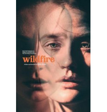 Из огня да в полымя (2020)