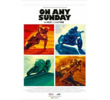 Каждое воскресенье: Следующая глава (2014)