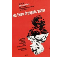 Как две капли воды (1963)